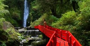 Termas Geométricas, Pucón spa